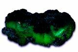 Fluorescent, Gemmy Adamite Crystals on Matrix - Mexico #356627-1